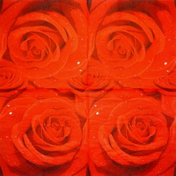 029 Rosen - 3-lagig (blau)